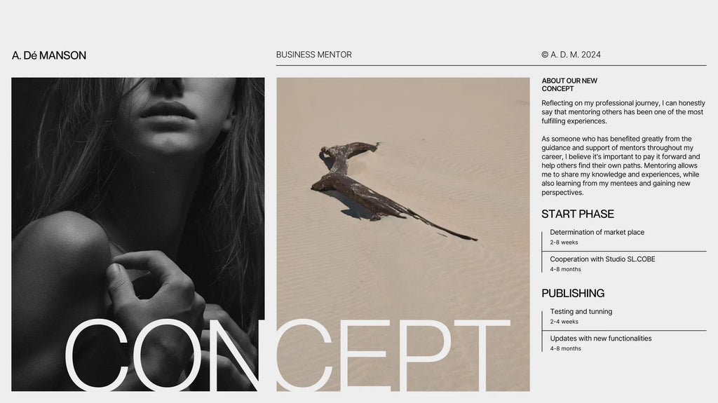 WUST / website, pitch deck, brochure