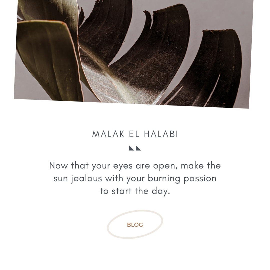 MANGO Social Media Templates Pack