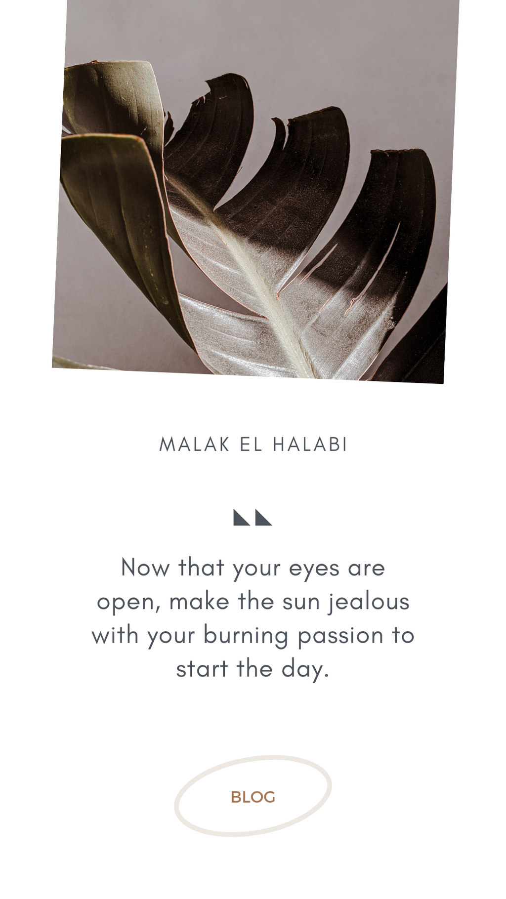 MANGO Social Media Templates Pack