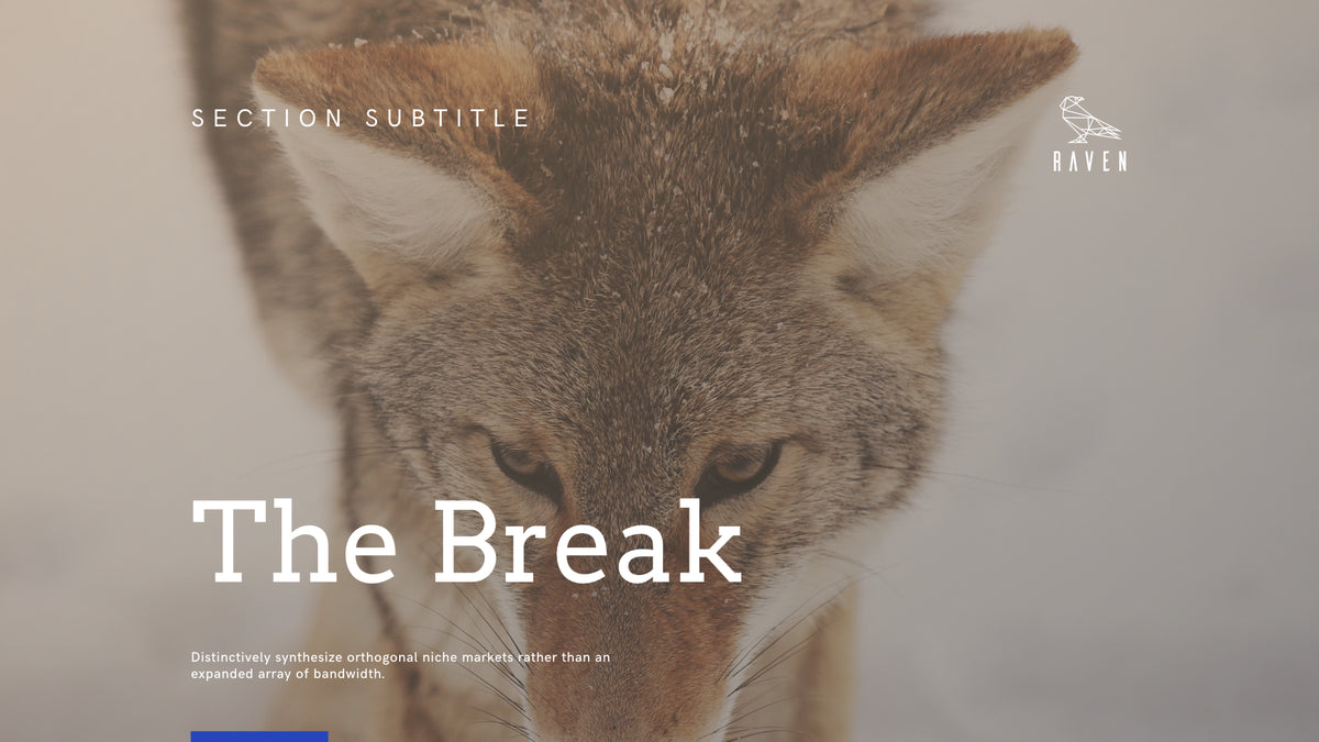 Raven Minimalist Keynote Presentation Template | 125+ Slides product preview image 137