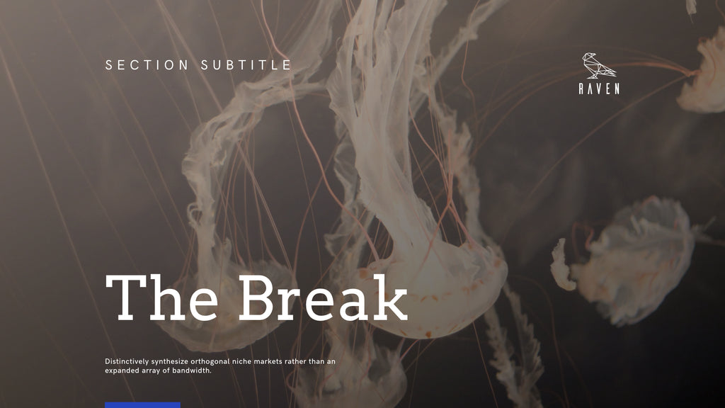 Raven Minimalist Keynote Presentation Template | 125+ Slides product preview image 138