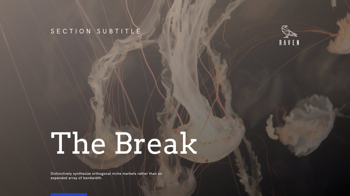 Raven Minimalist Keynote Presentation Template | 125+ Slides product preview image 138
