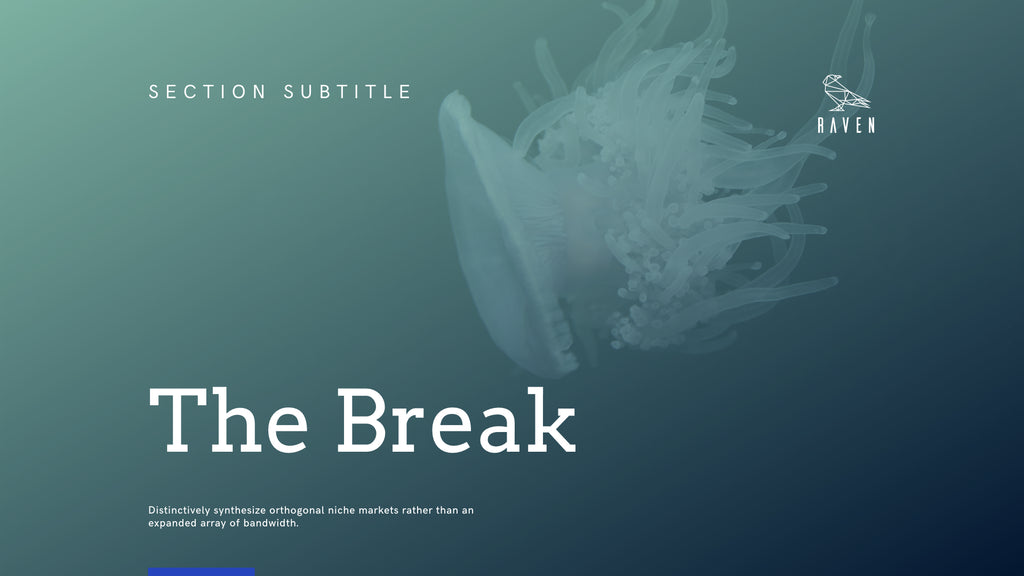 Raven Minimalist Keynote Presentation Template | 125+ Slides product preview image 121