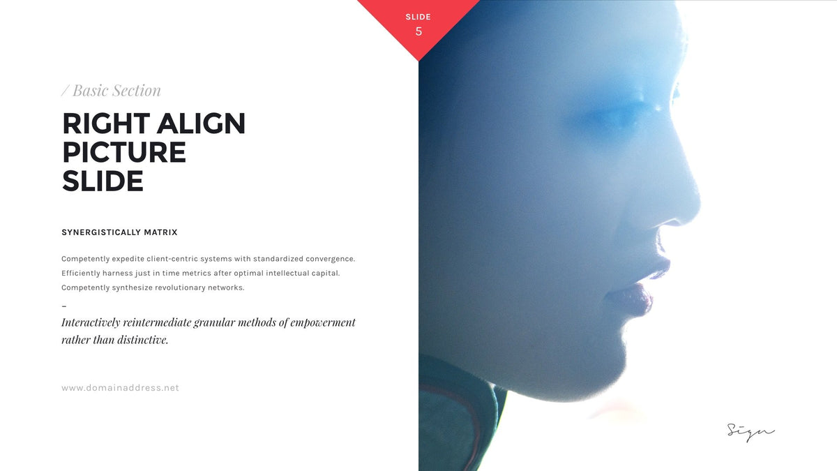 Sign Presentation Unique Keynote Template product preview image 100