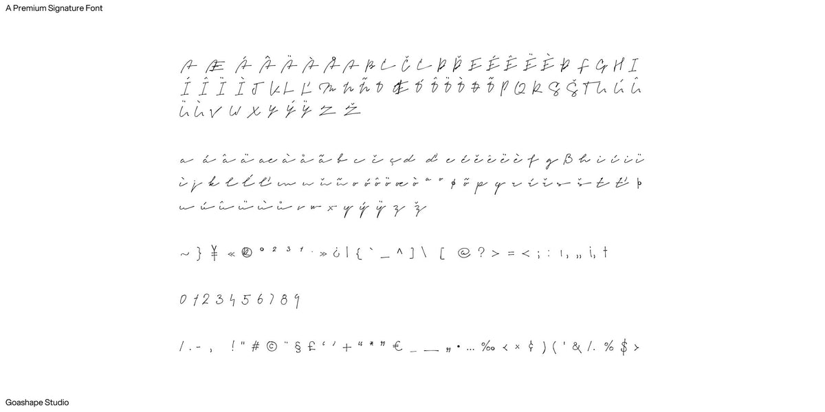 Signeton | Signature Handwritten Font Script