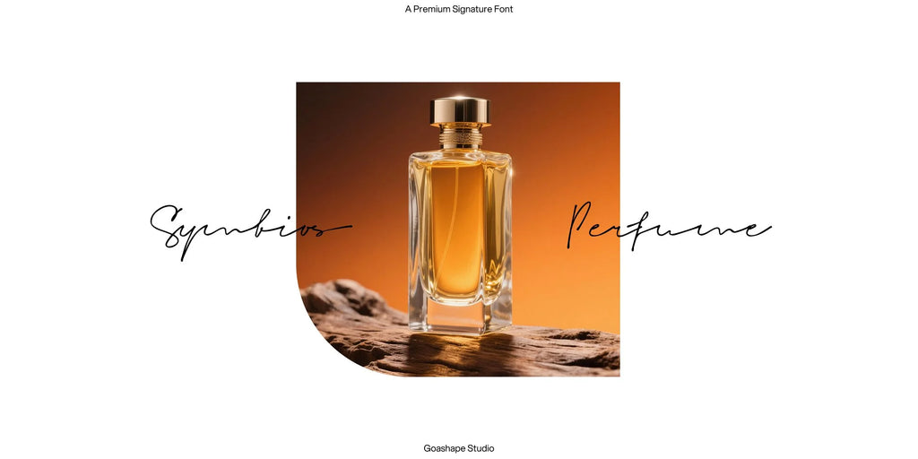 Signeton | Signature Handwritten Font Script