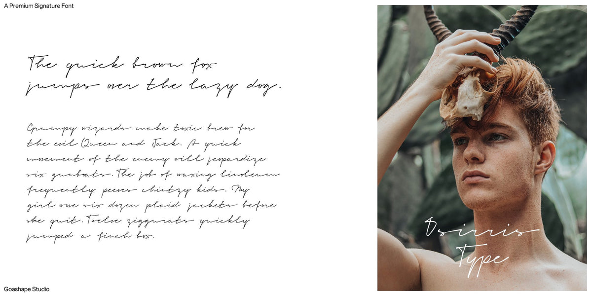 Signeton | Signature Handwritten Font Script